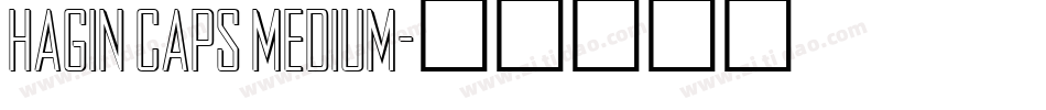 Hagin Caps Medium字体转换
